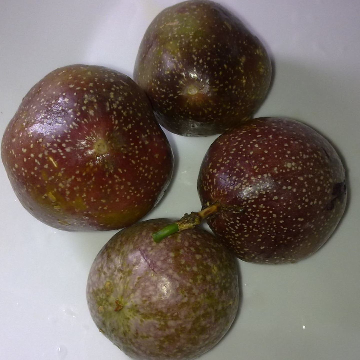Passion Fruit Seeds Non-tropical variety - 10 numbers