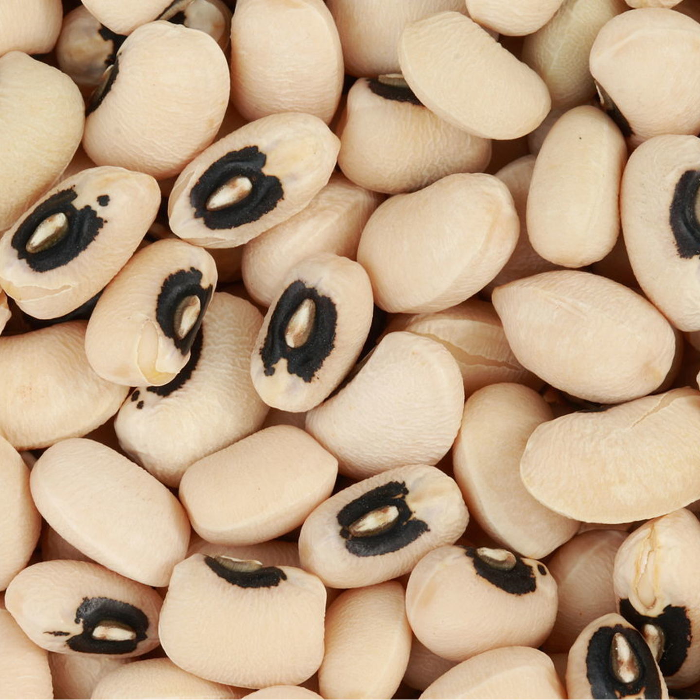 MHG-Veg-Seed-Black Eyed BeanspeasAlasande-5 seeds