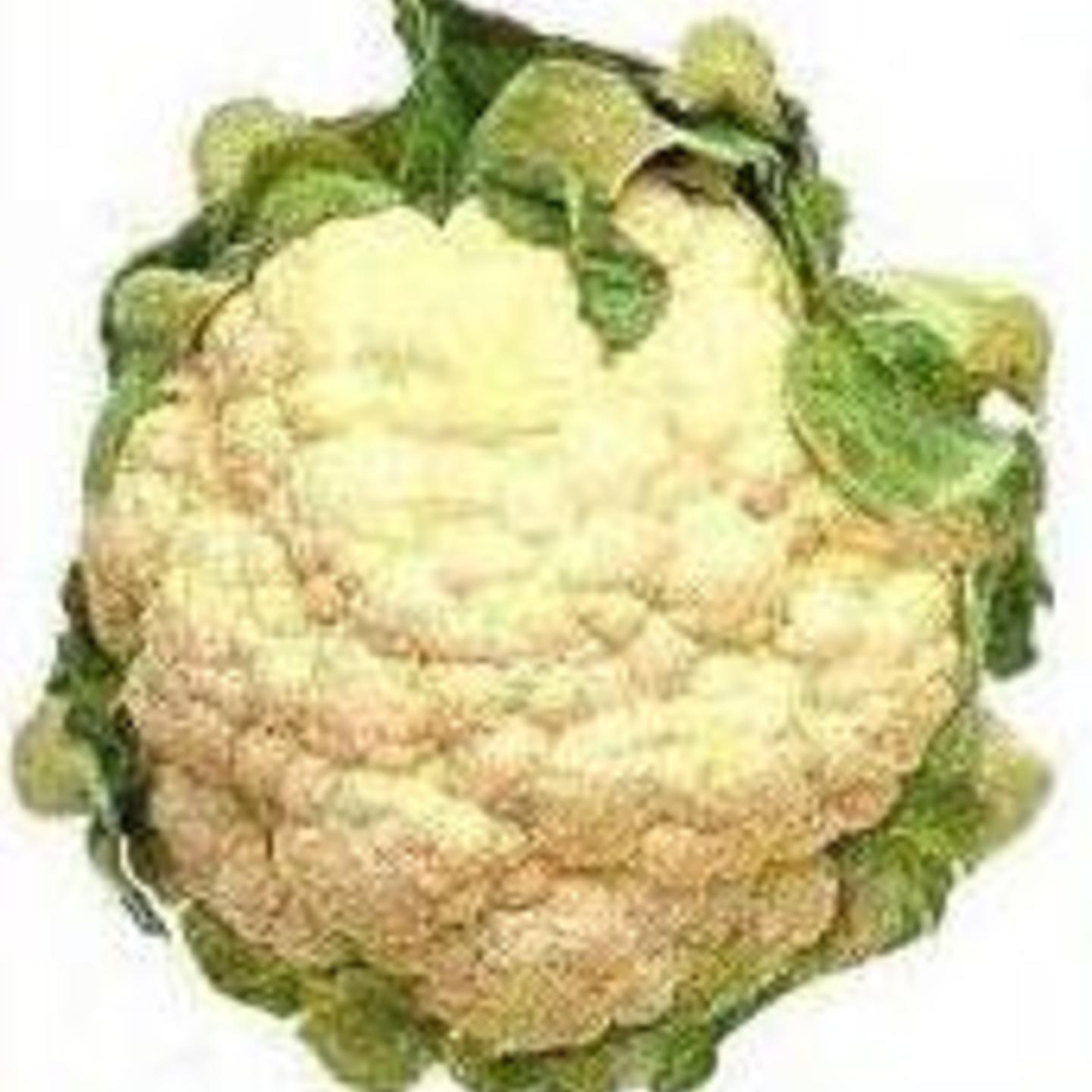 MHG-Veg-Seed-Cauliflower-20 seeds