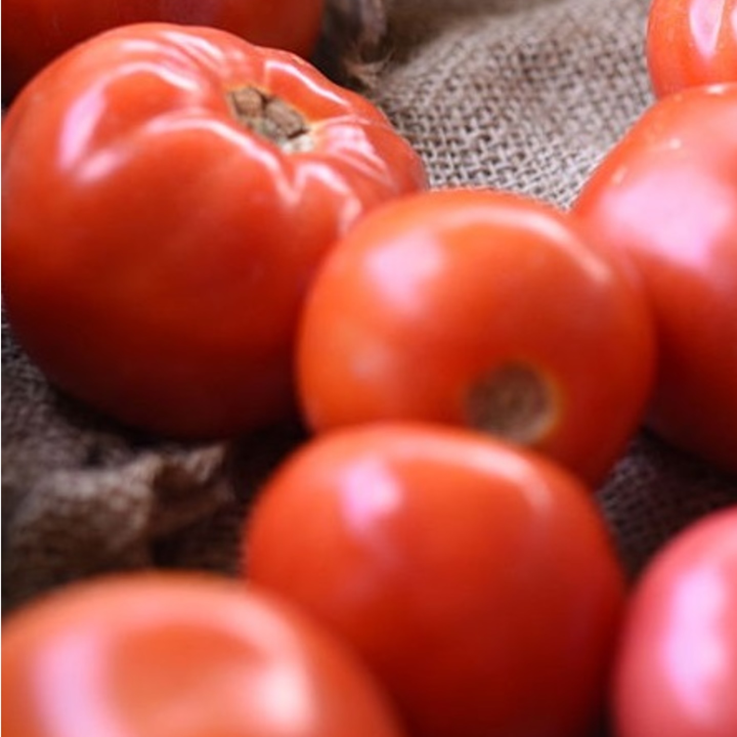 MHG-Veg-Seed-Tomato-10 seeds