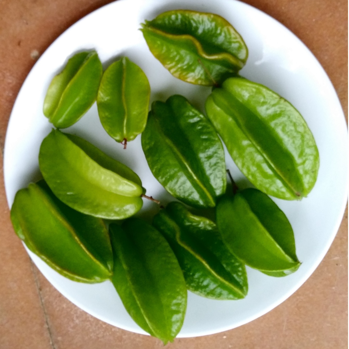 Star Fruit- Green- Young- per KG