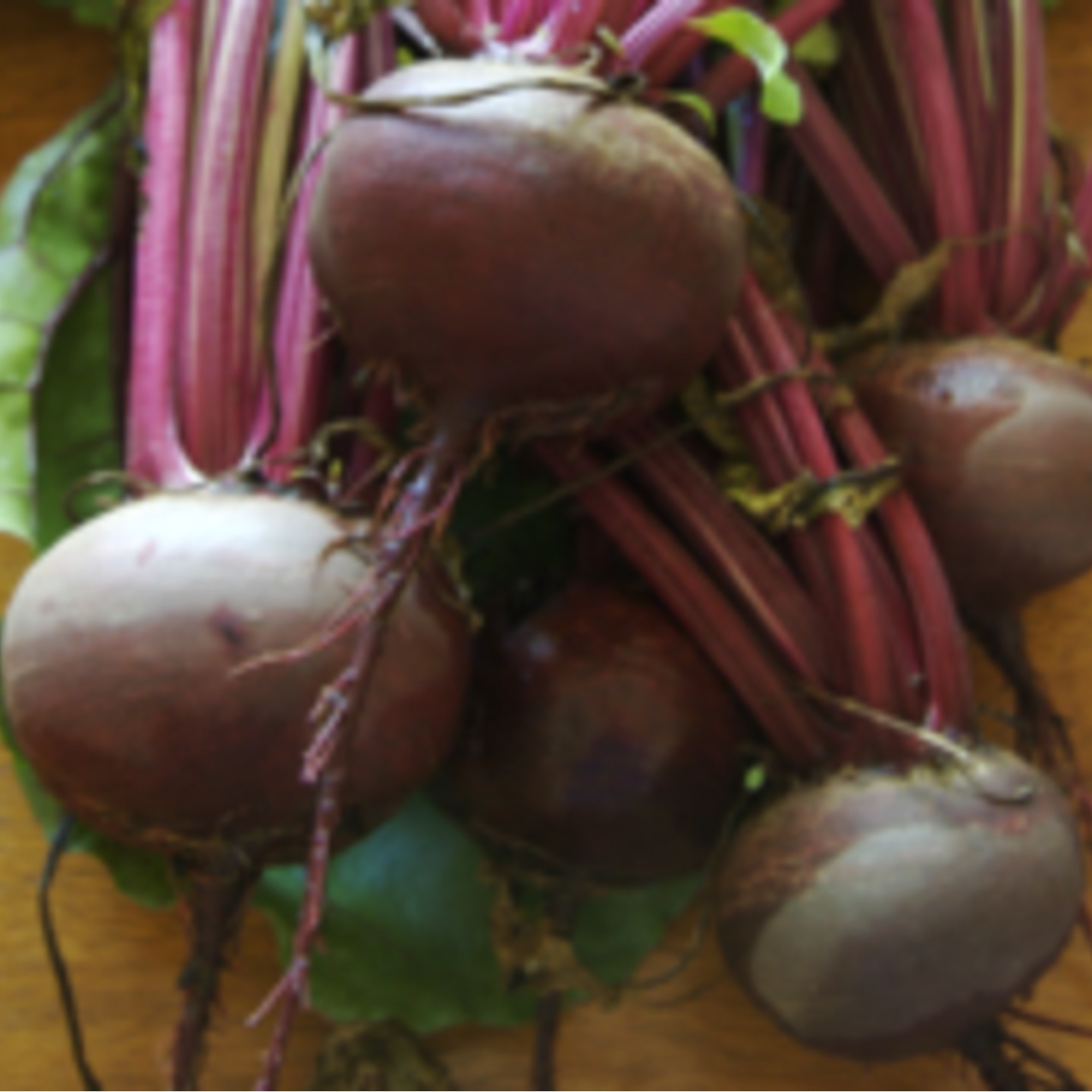 MHG-Veg-Seed-Beet Root-10 seeds