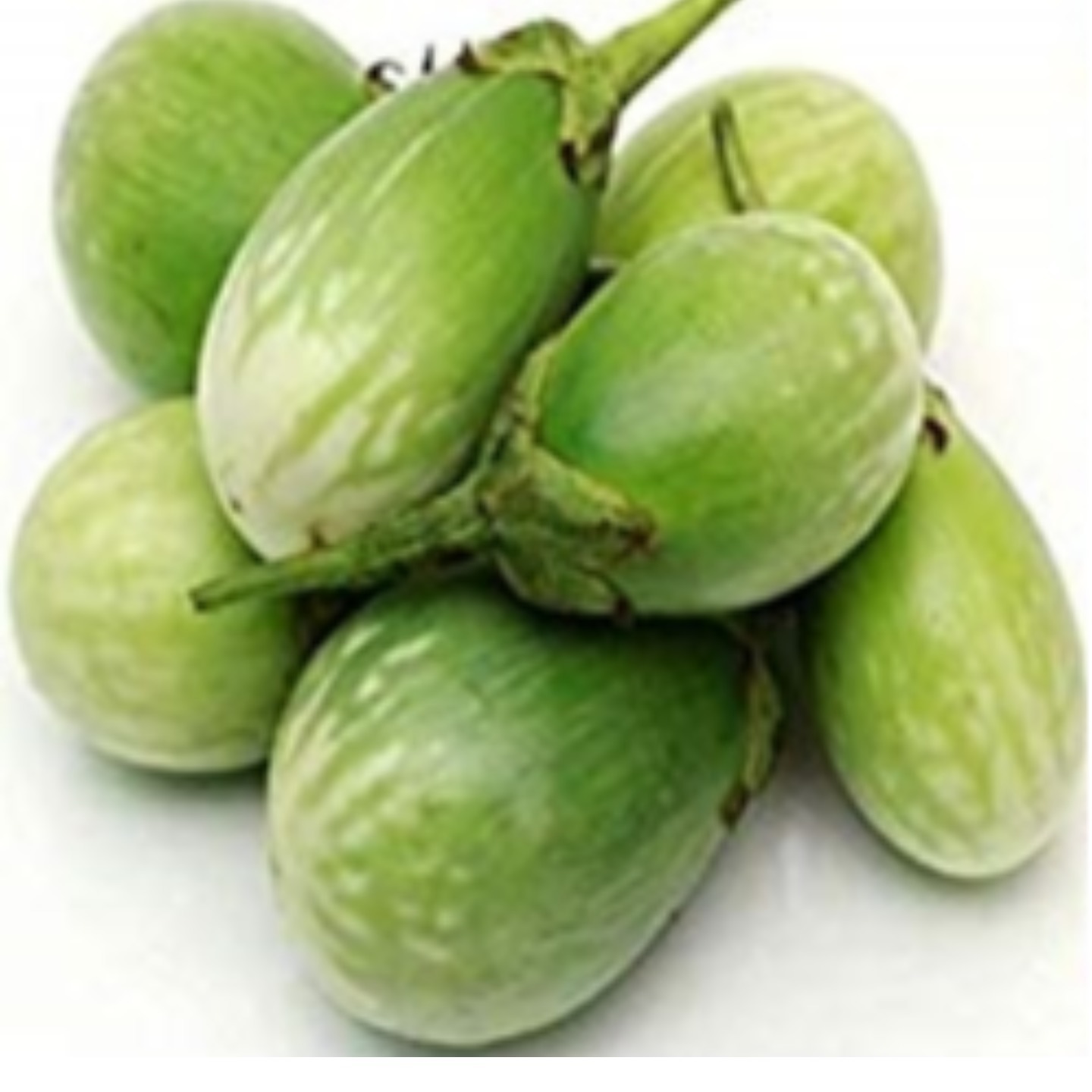 MHG-Veg-Seed-Brinjal Green Round-10 seeds