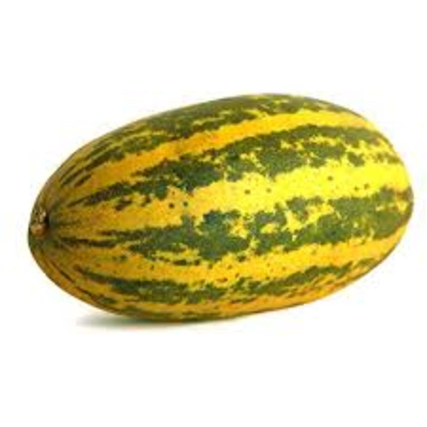 MHG-VEG-Seed-Sambar Cucumber-5 seeds
