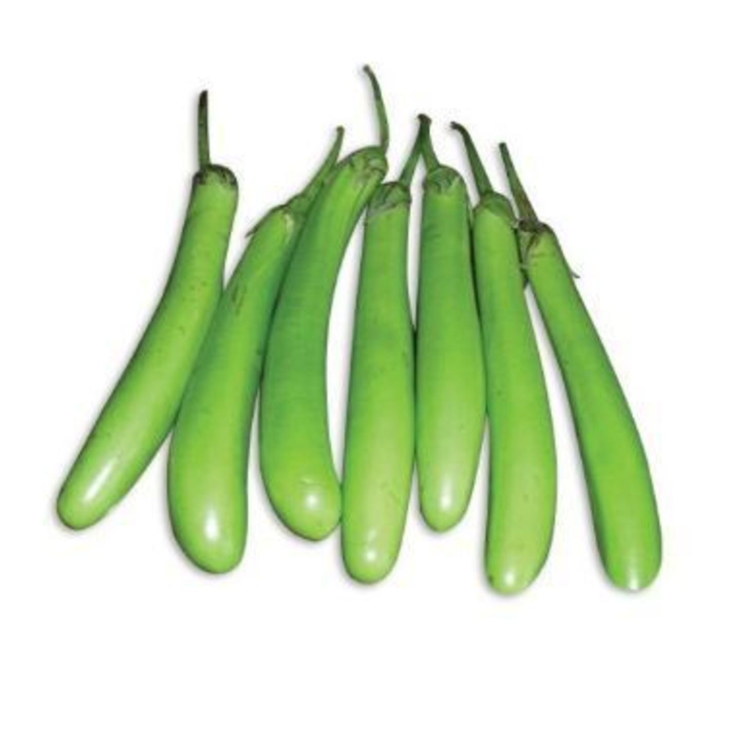 MHG-Veg-Seed-Brinjal Green Long-10 seeds