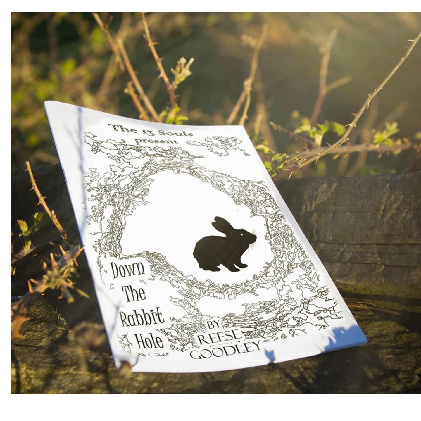 Down The Rabbit Hole – Reese Goodley