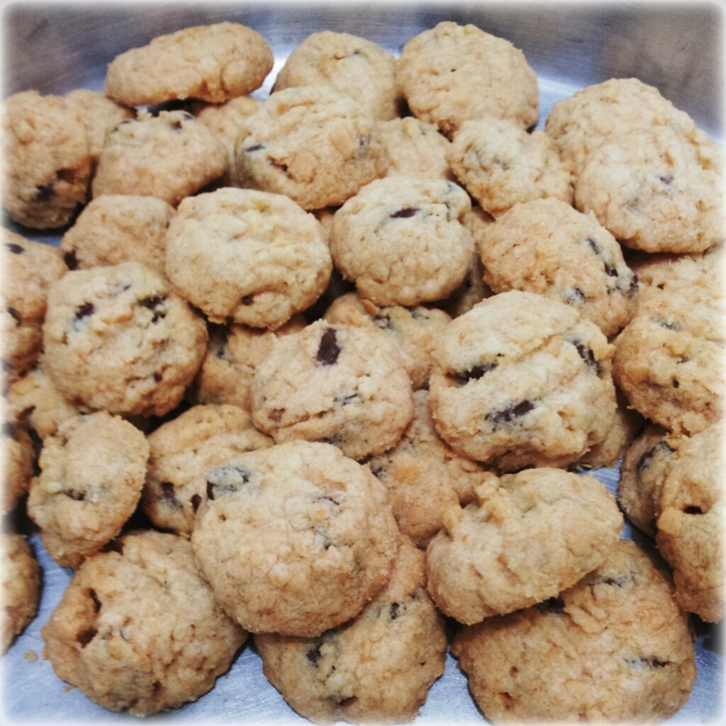 Signature Choc Chip Cereal Cookies
