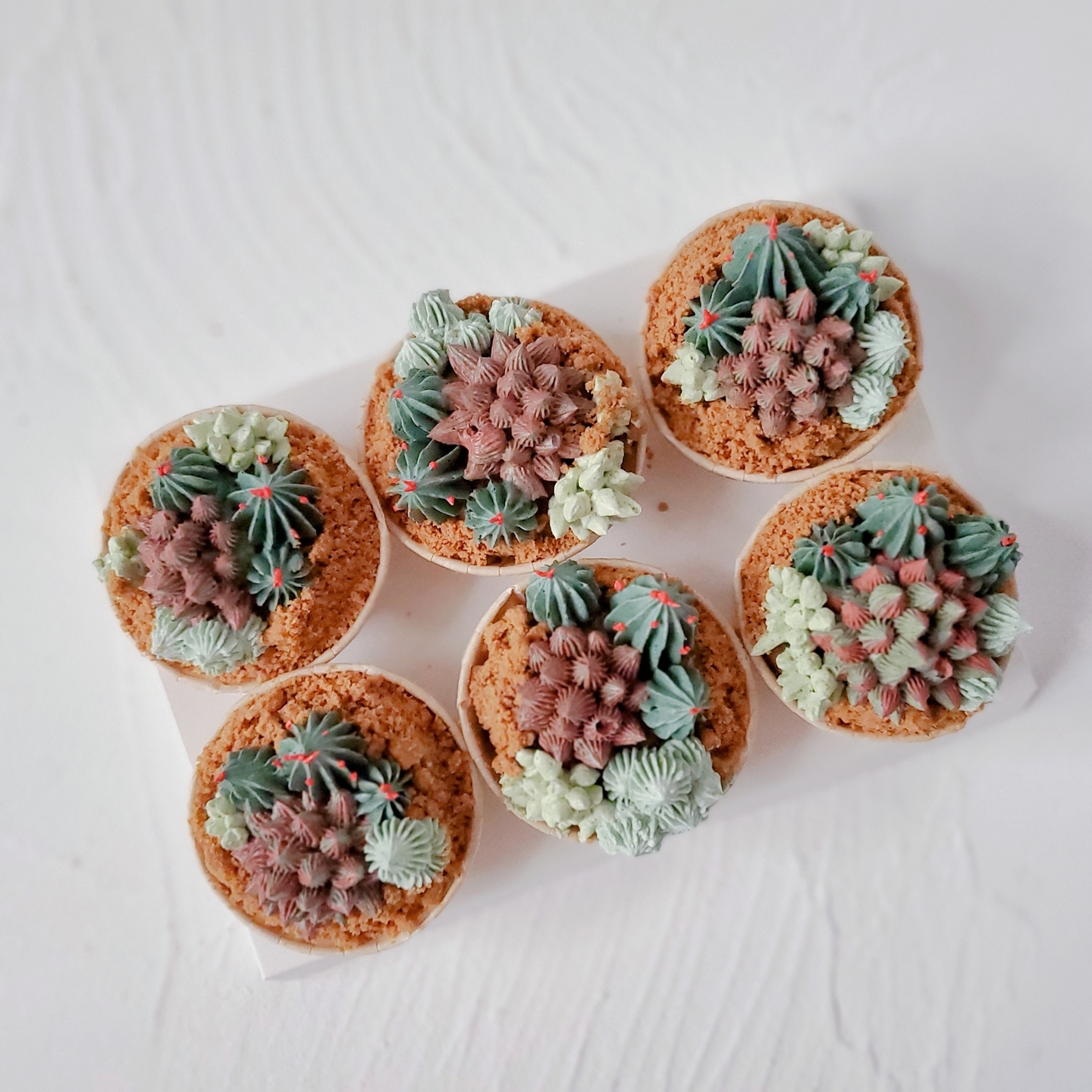 Cacti Cupcakes Set