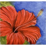 Hibiscus