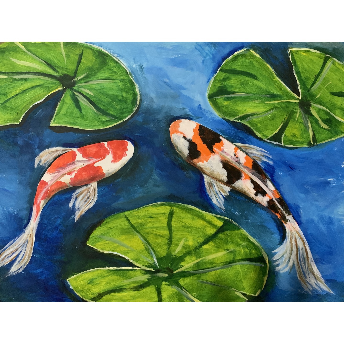 Koi fish with Lily pads
