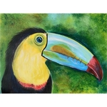 Toucan