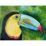 Toucan