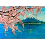 Cherry Blossoms