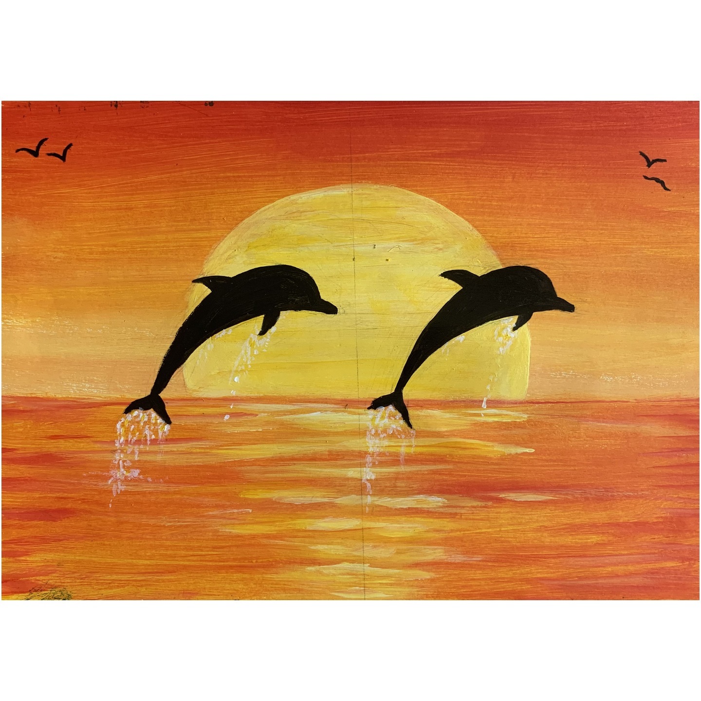 Dancing Dolphins