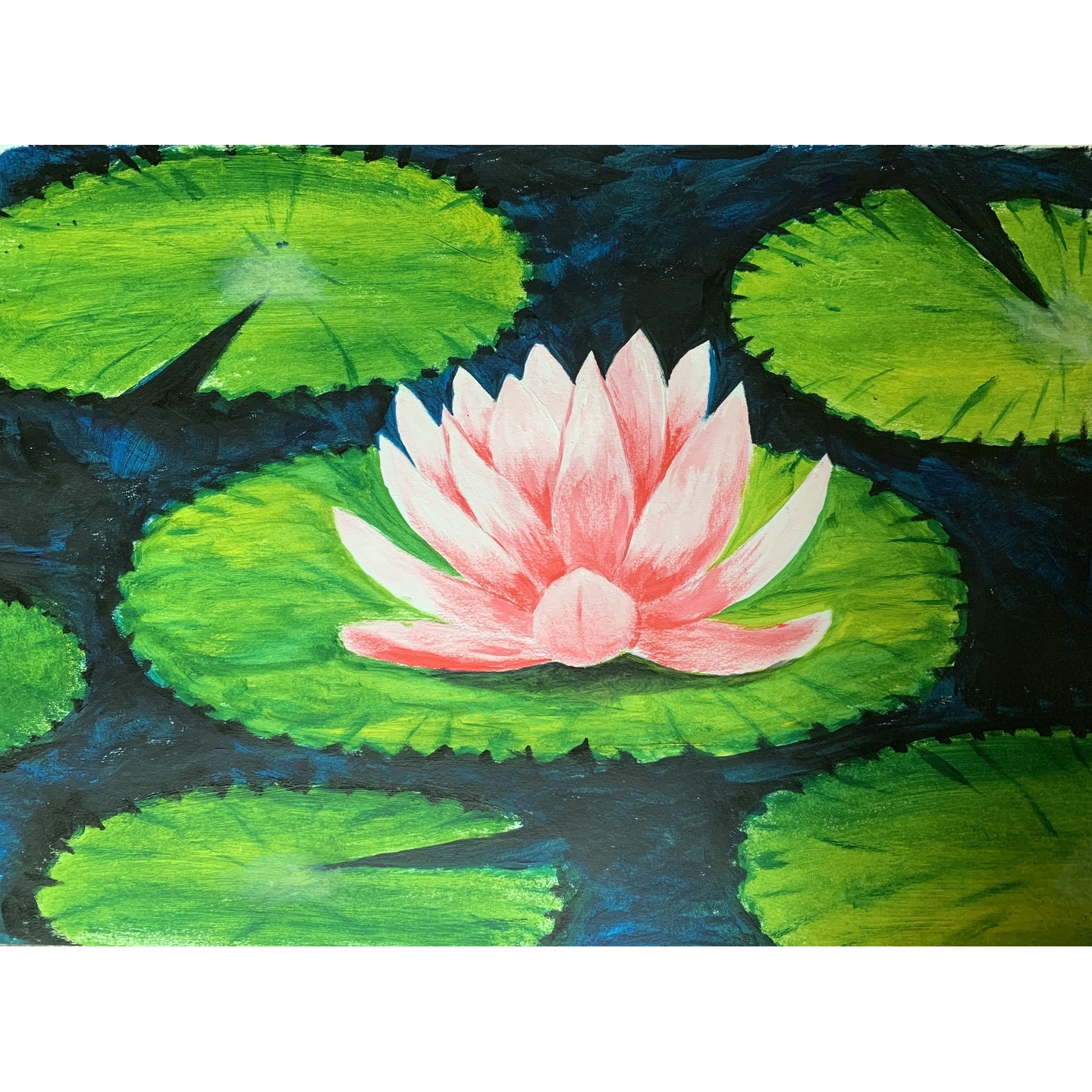Lotus & Lily pads