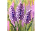 Lavenders