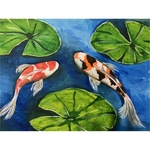 Koi Fish 2.5 hours