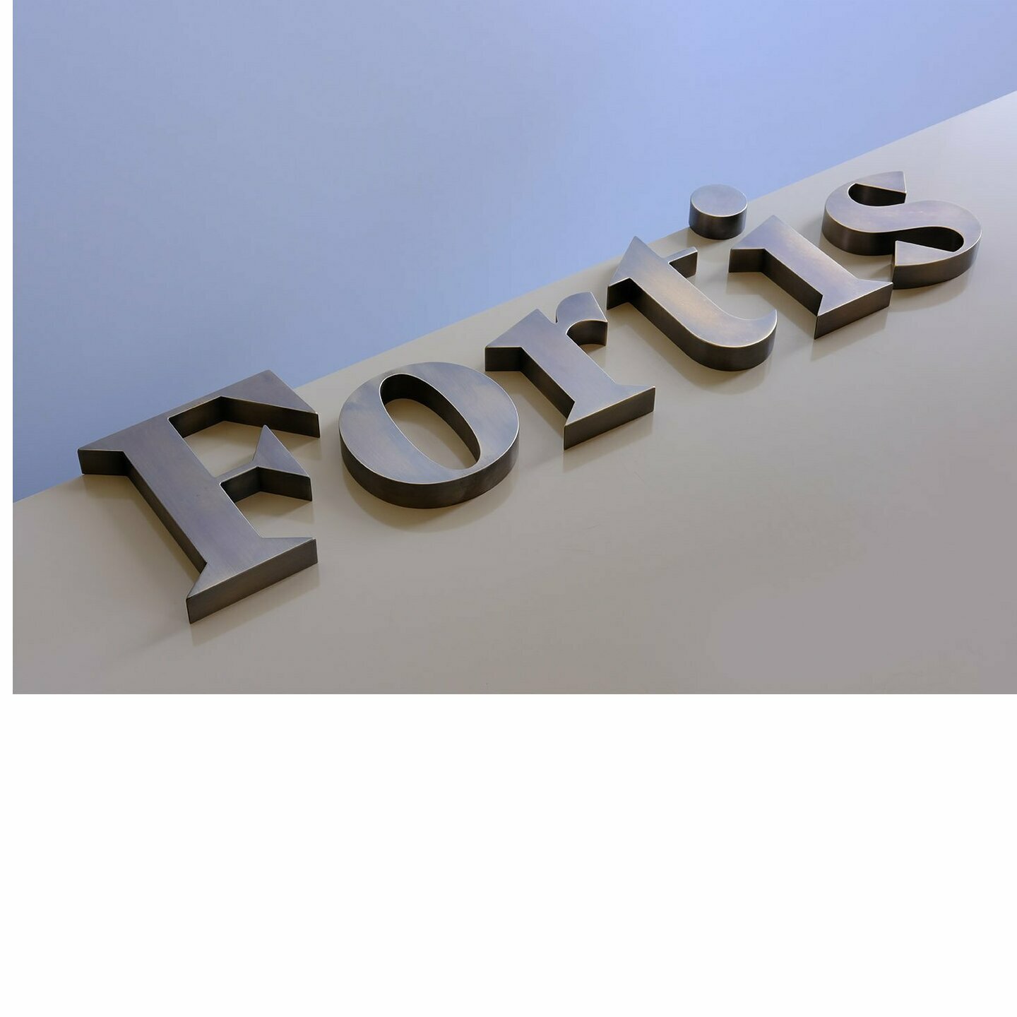 Stainless Steel (SS) 3D Letter                         (Price could be vary)/inch