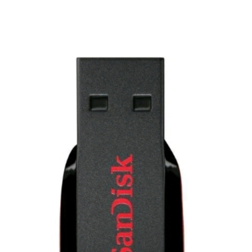 SanDisk 16 GB pen drive