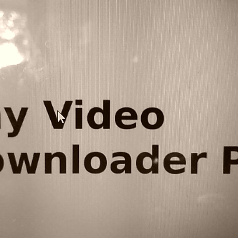 ANY VIDEO DOWNLOADER PRO