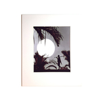 Photo Print: Sunrise by Yip Cheong Fun