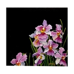 Sketches Of Singapore Series Orchid Postcard - Vanda Miss Joaquim by Glacy Soh
