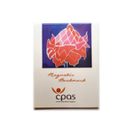 Magnetic Bookmark Red Flower by CPAS GROW Artists