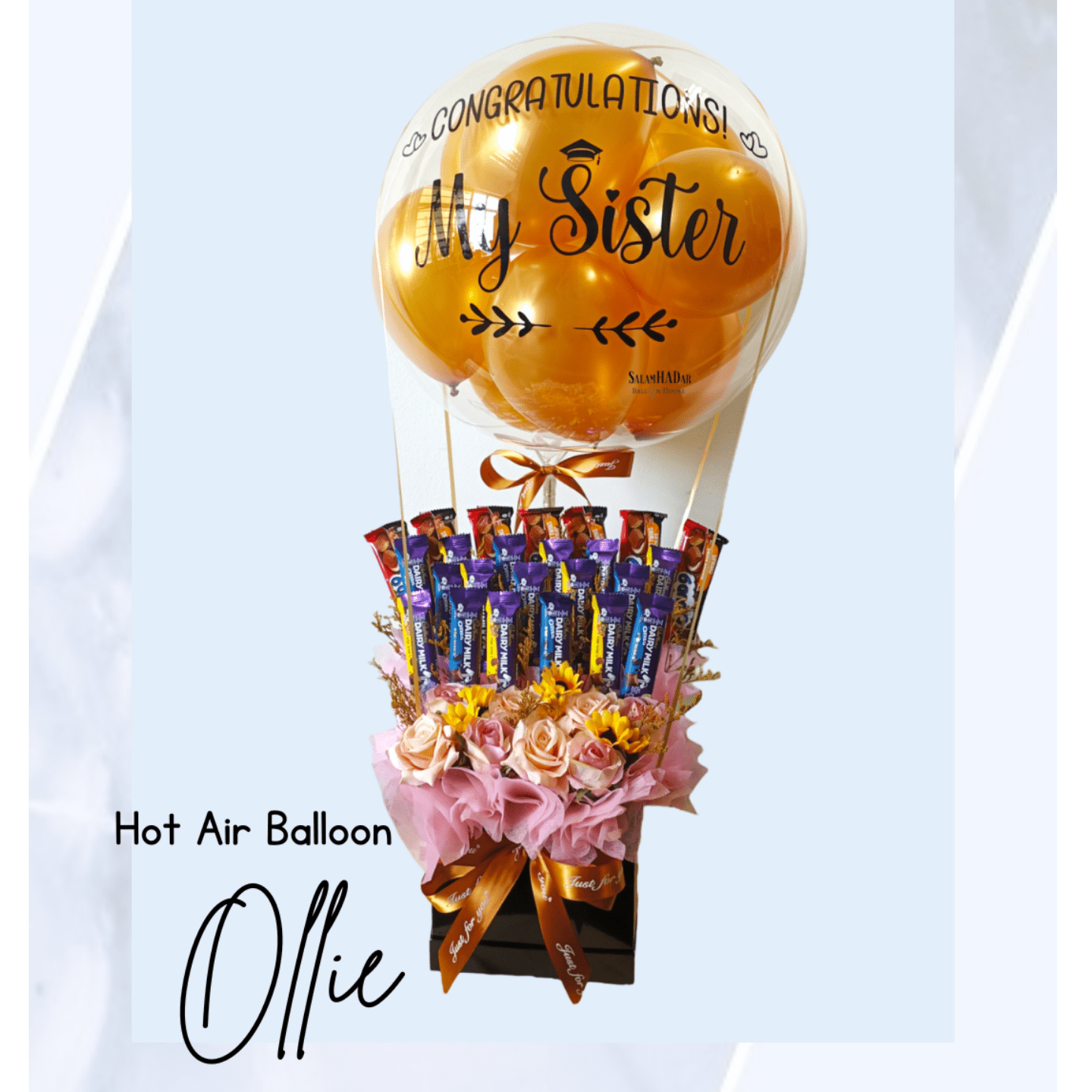Ollie Hot Air Balloon