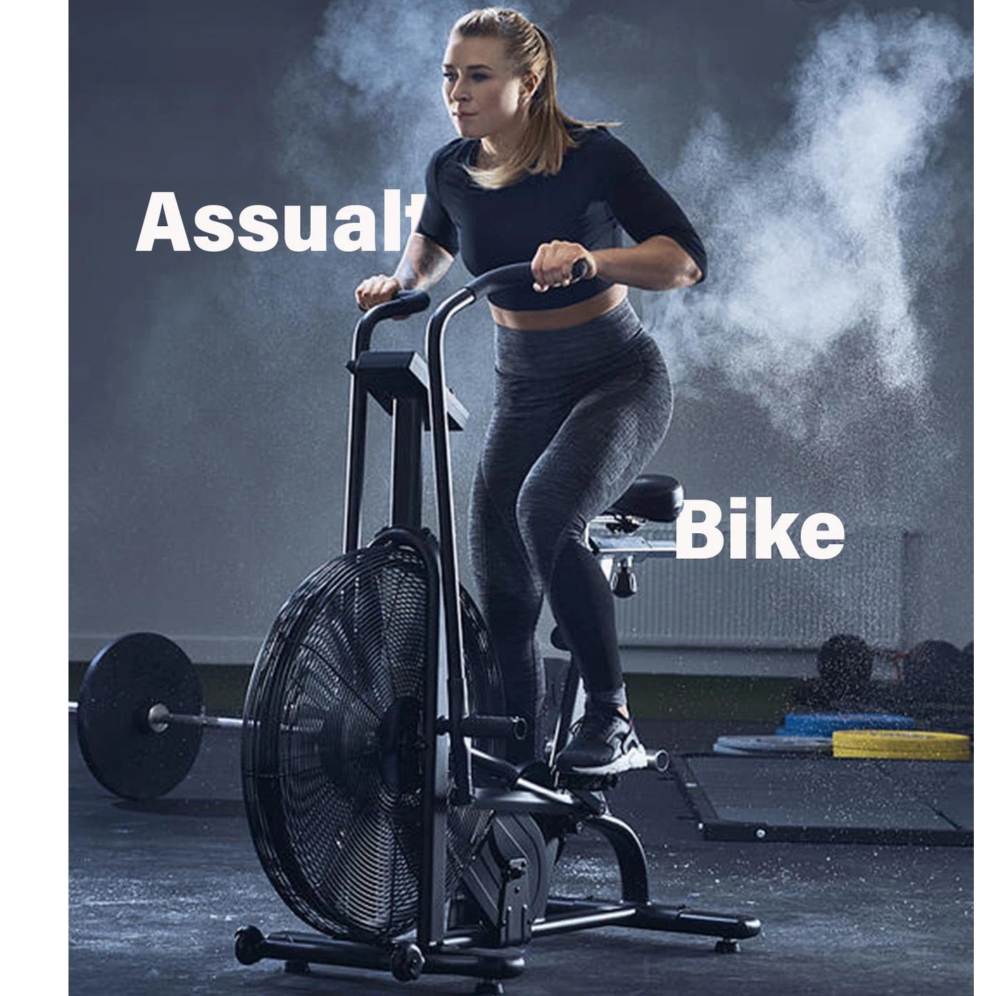 Assault AirBike Classic