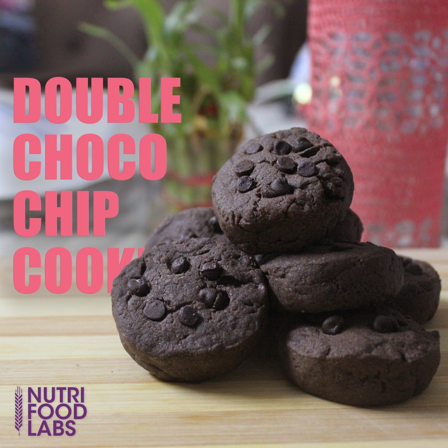 Double Chocochip Cookies (Handmade - Eggless)