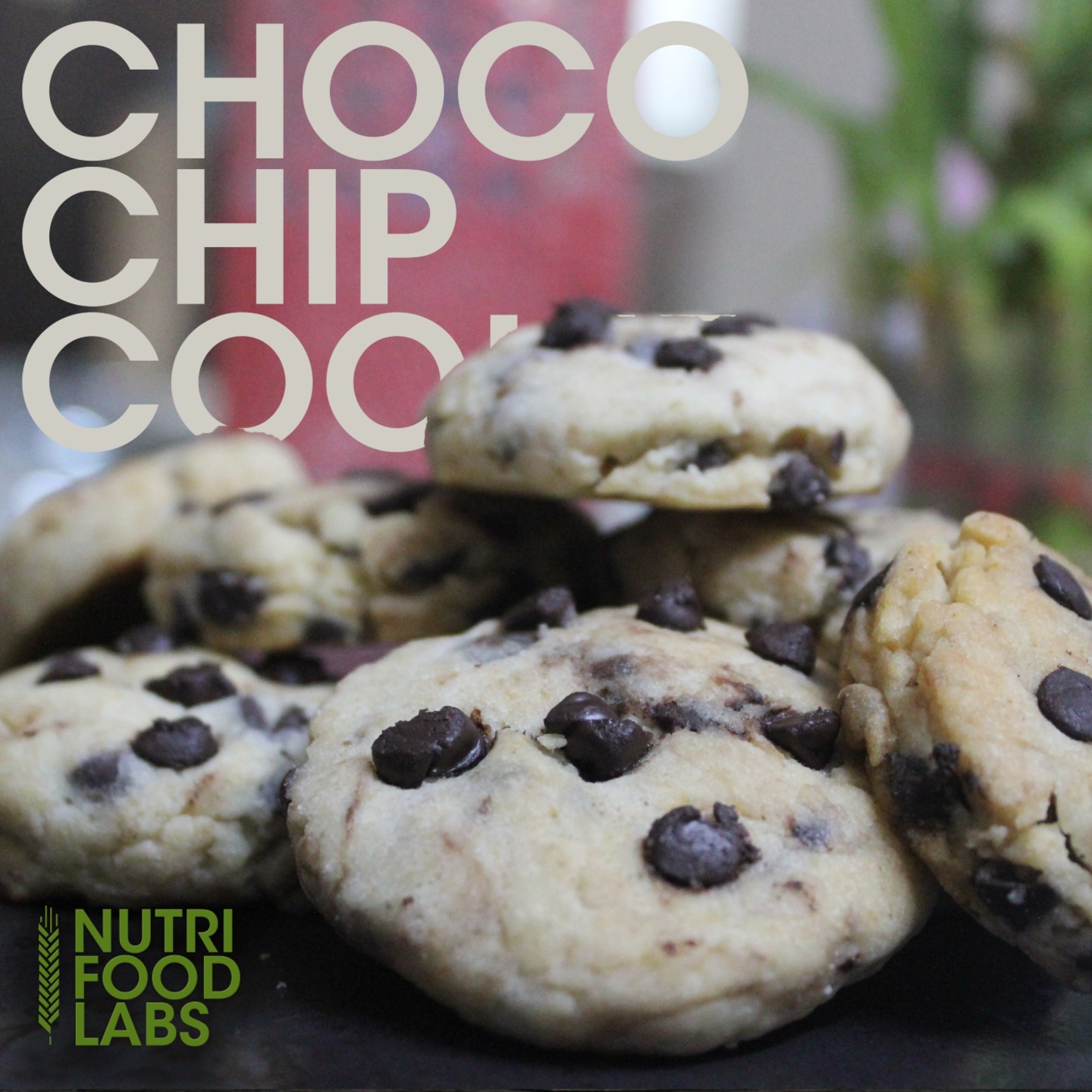 Chocochip Cookies Handmade