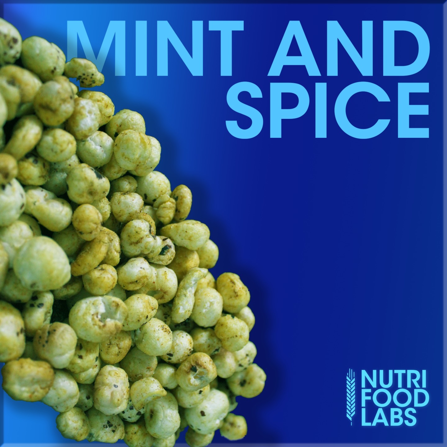 Roasted Makhana - Mint And Spice