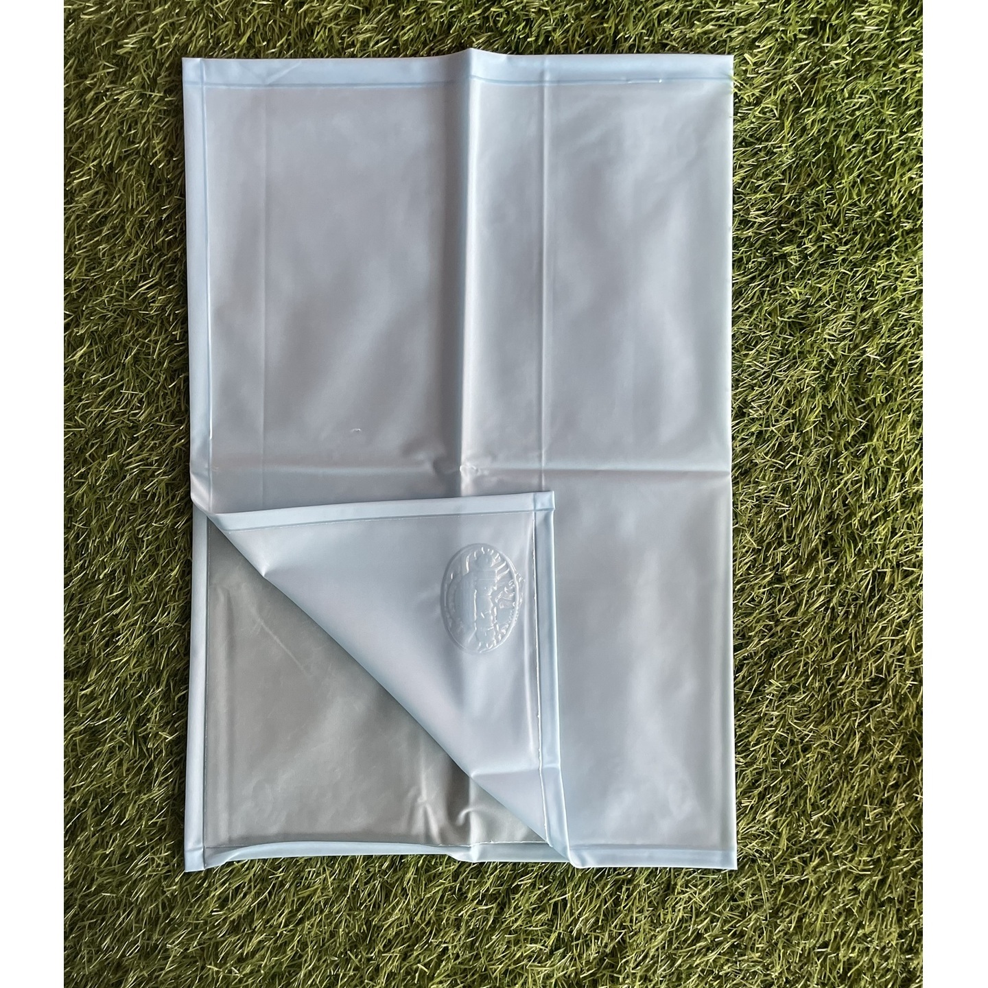 Cradle Togs Plastic Sheets / Mattress Protector Size 35*25 Inches Blue
