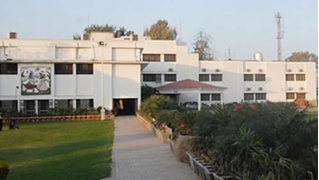 4649986.jpg