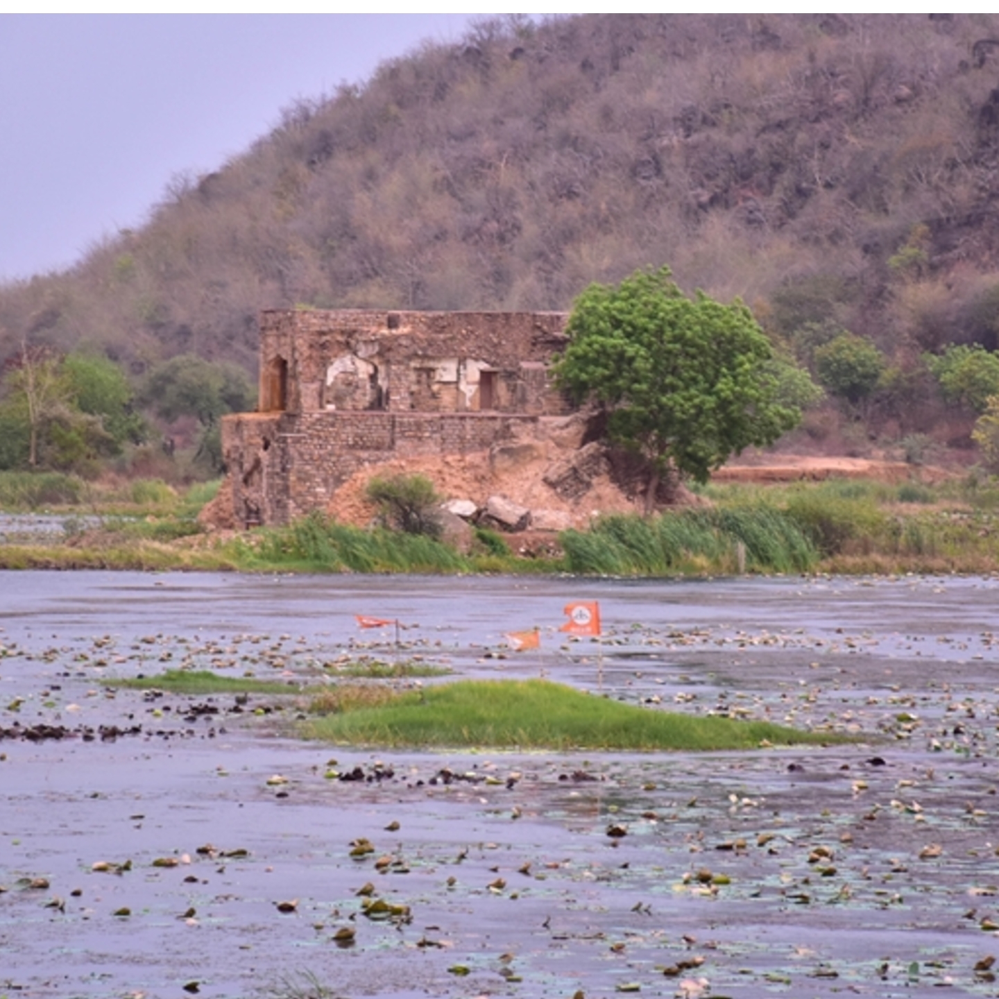 Sangram Sagar Lake  संगराम सागर झील