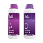 Blossom AB2L Hydroponic Nutrient for Flowers