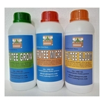 FRUTEE GMB3L