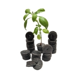 Cloning Collars Inserts, Fits 2 Inches Net Pots, for Hydroponics, Cloning, DIY Cloner and Clone Machines Qty 80 Nos