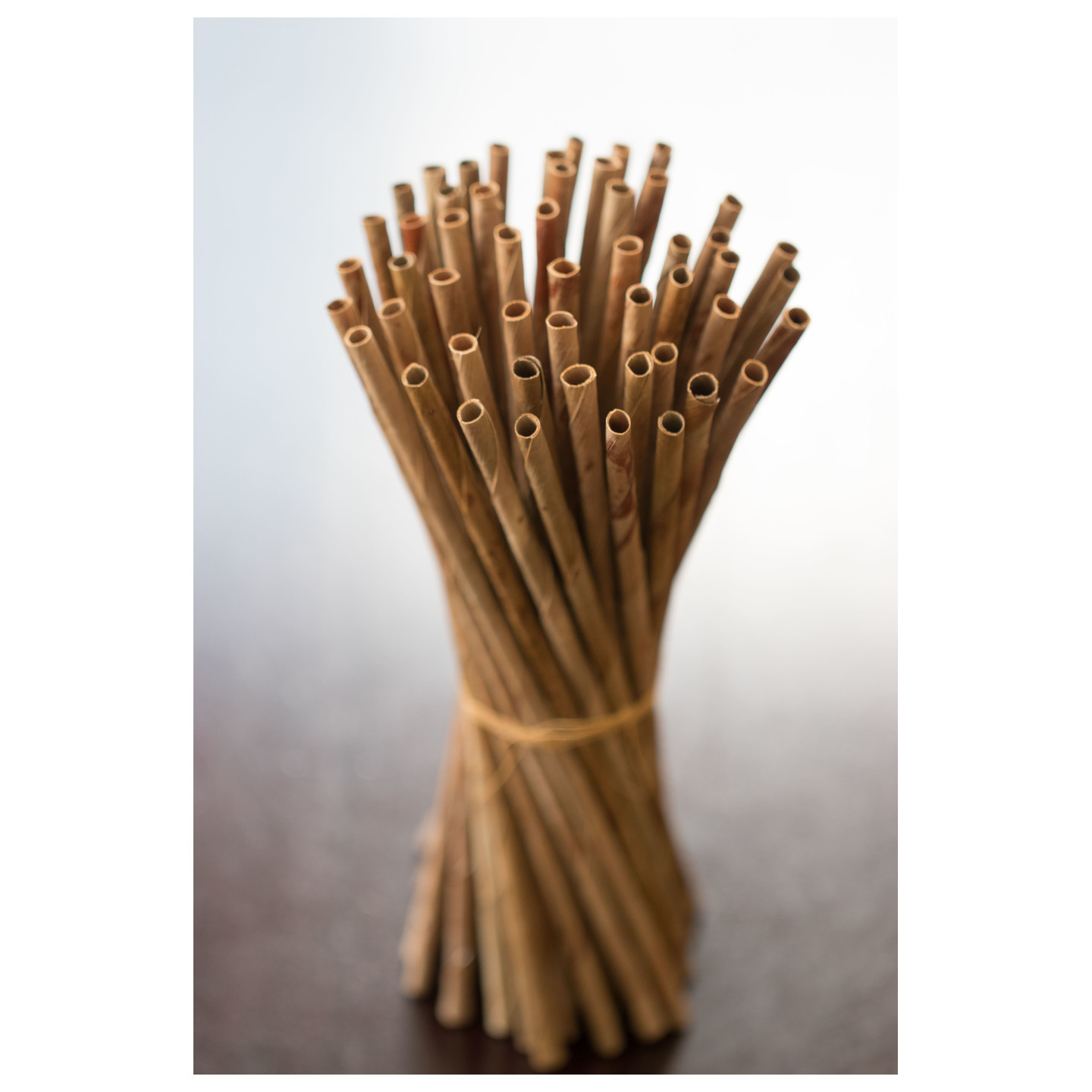 Leafy organic single use drinking straw 1000 pc.