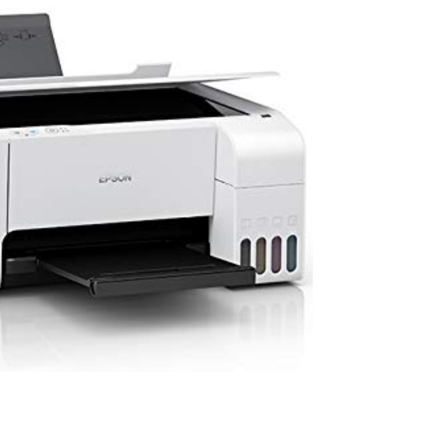 Epson Color Printer 0233