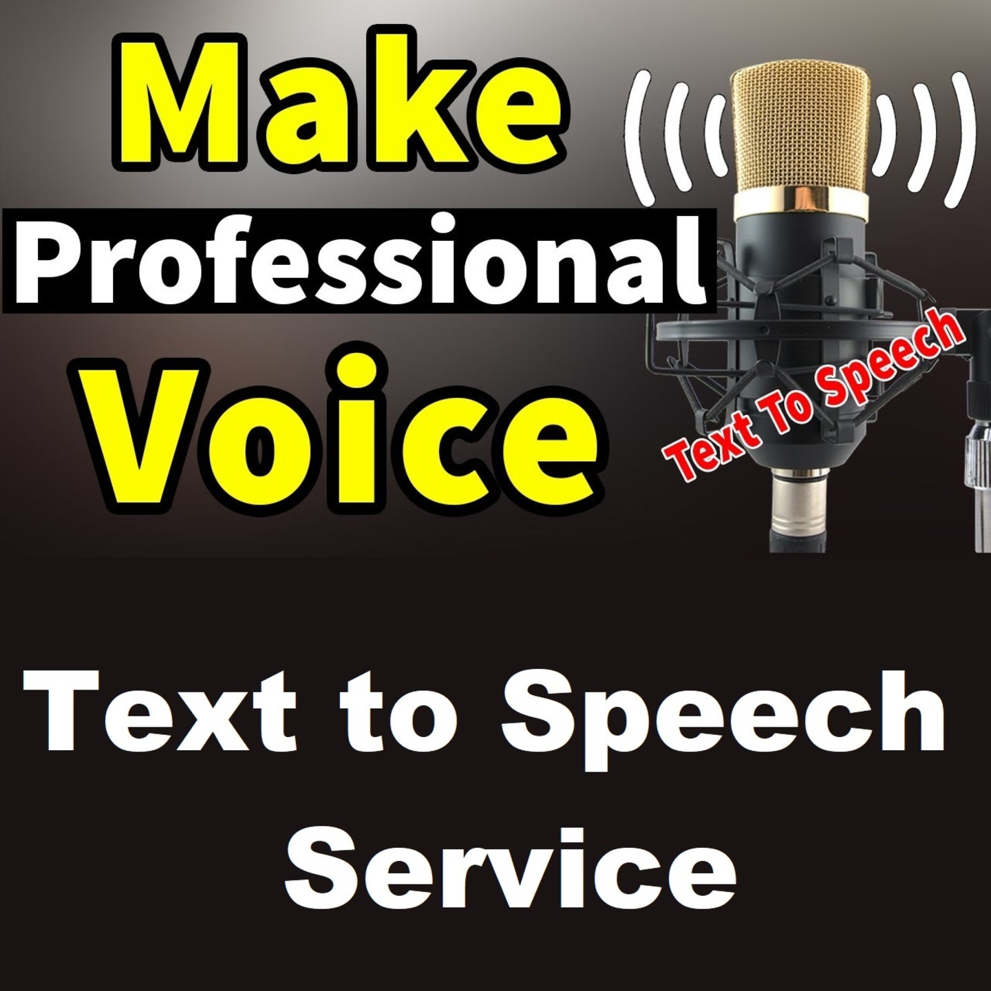 Get a professional voice over from your Text Script