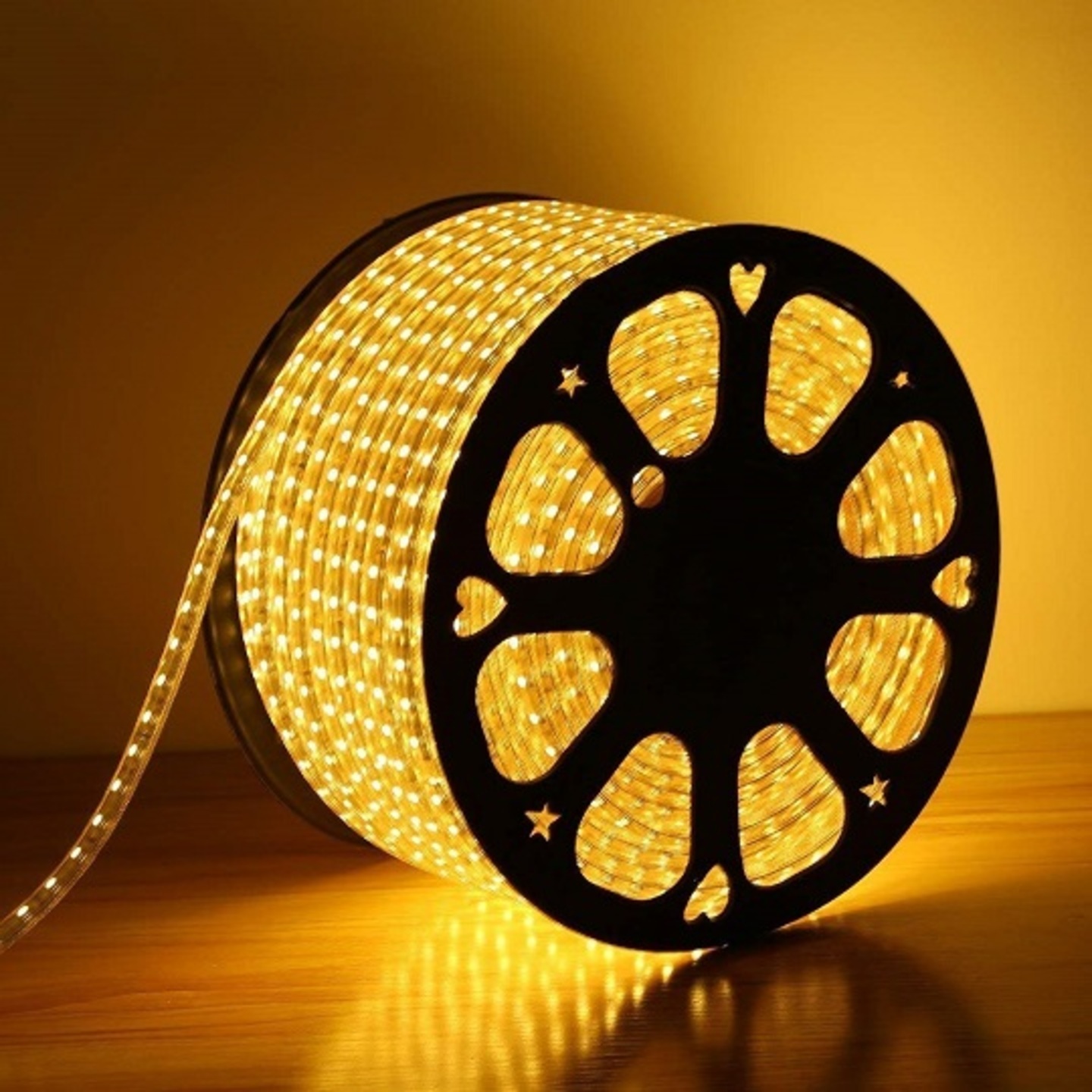 10 Meter Water Proof LED Strip Rope Light with Adapter