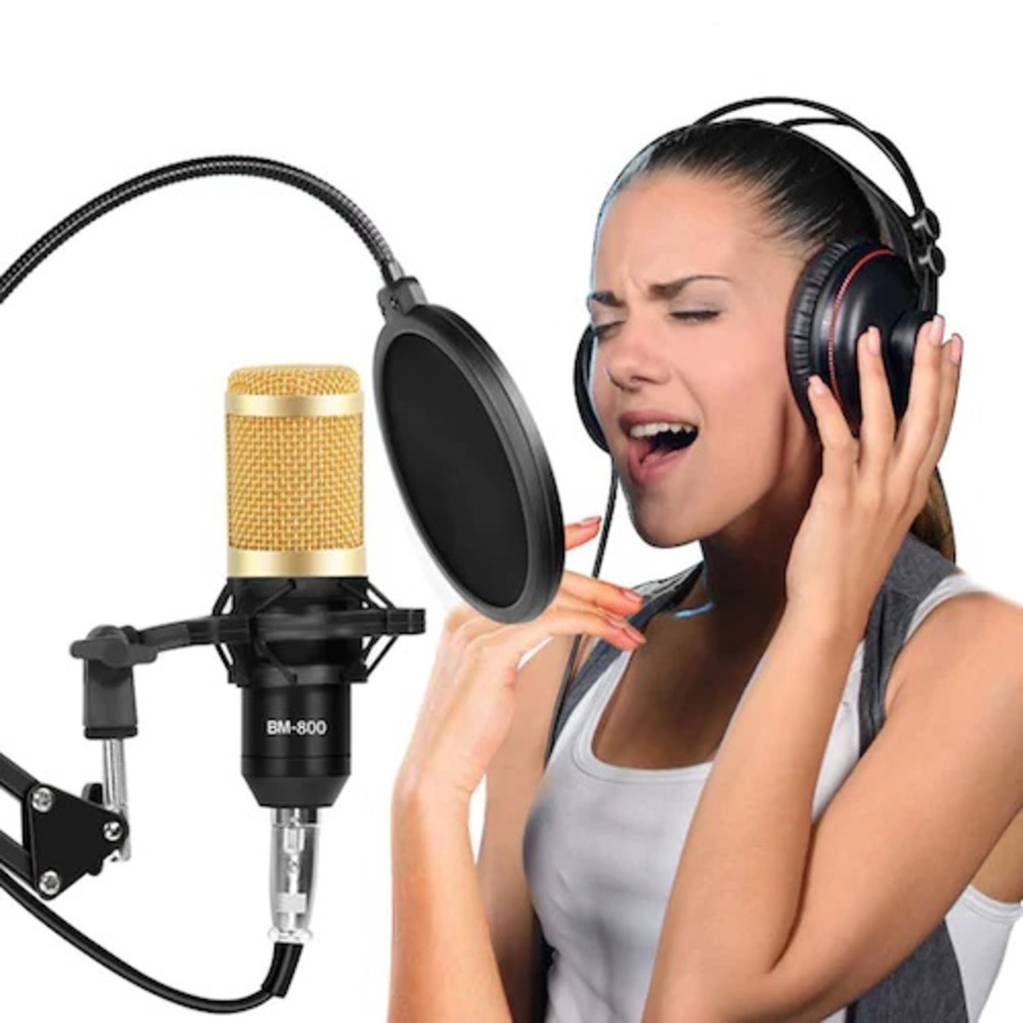 Rental Record professional quality voice with USB Condenser Microphone Kit