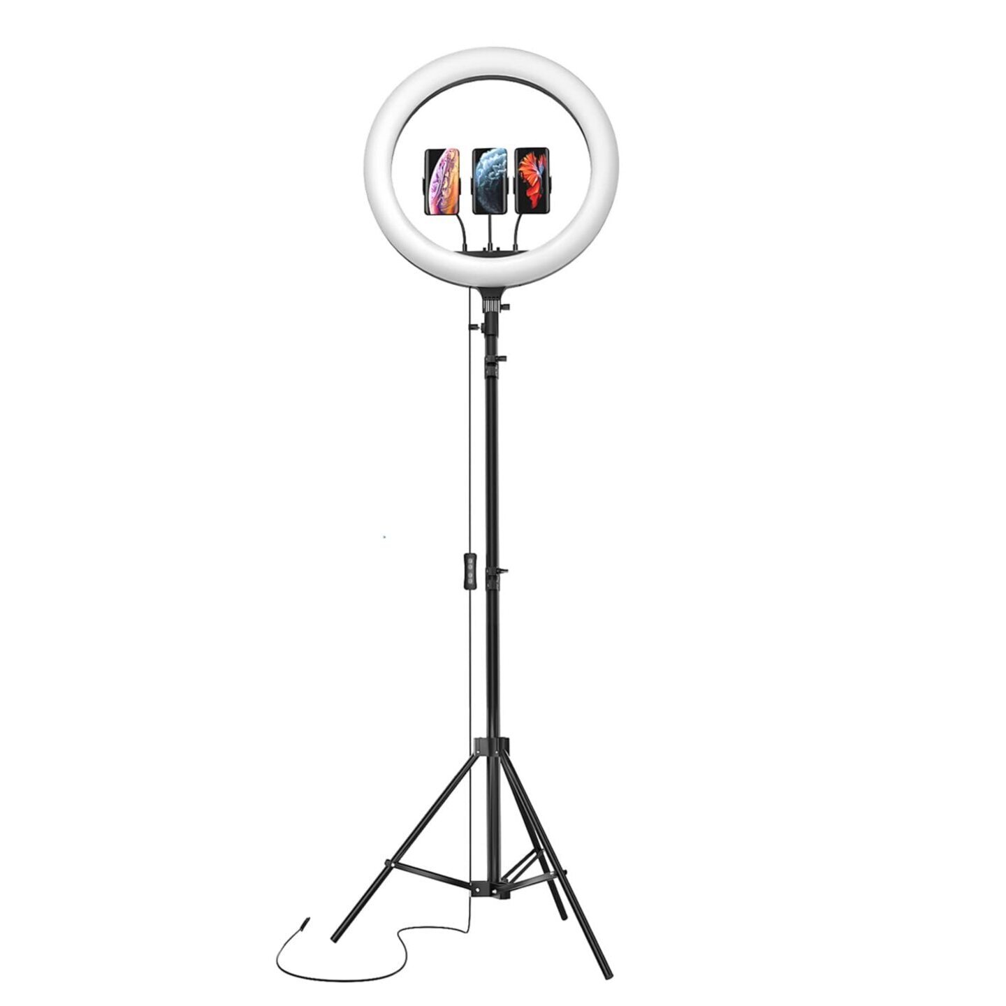 AB 14-inch Ring Light with Tripod and Dual Temperature Modes