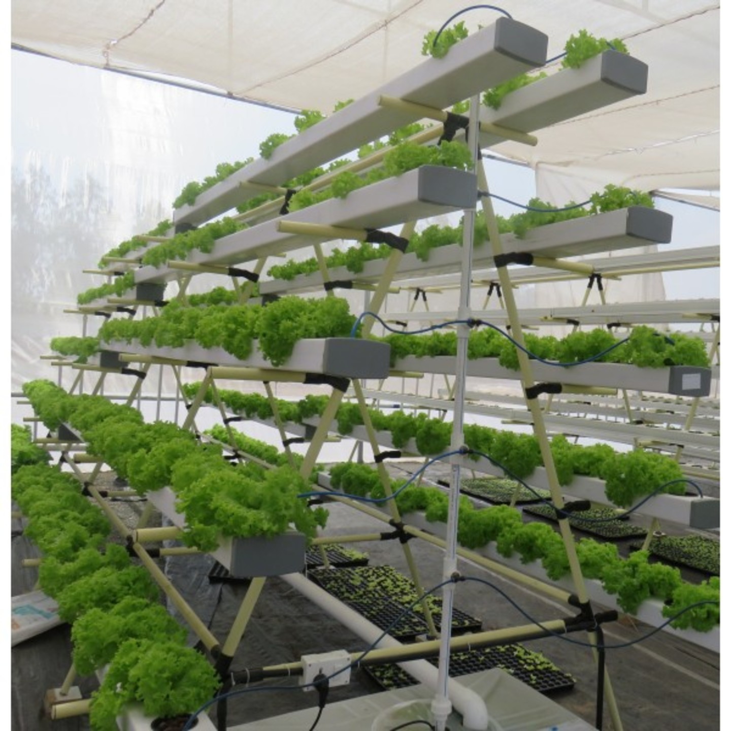 nF 456 Planter Vertical Hydroponics Kit
