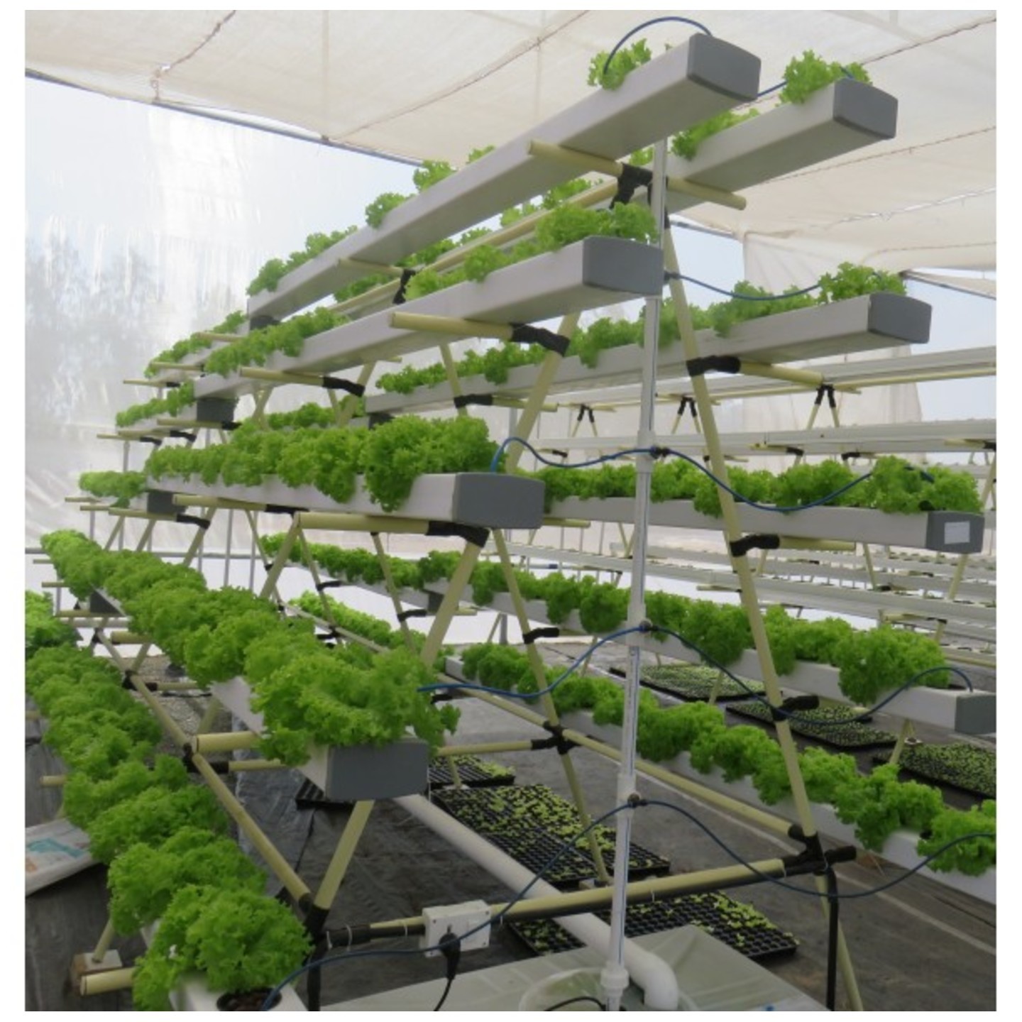 nF 190 Planter Vertical Hydroponics Kit