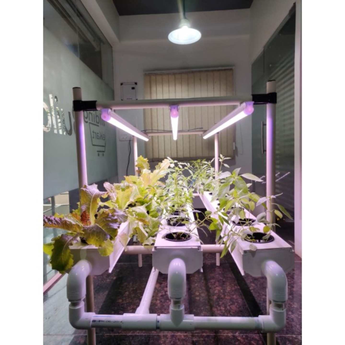 nF 18 Planter Indoor Hydroponics Kit 