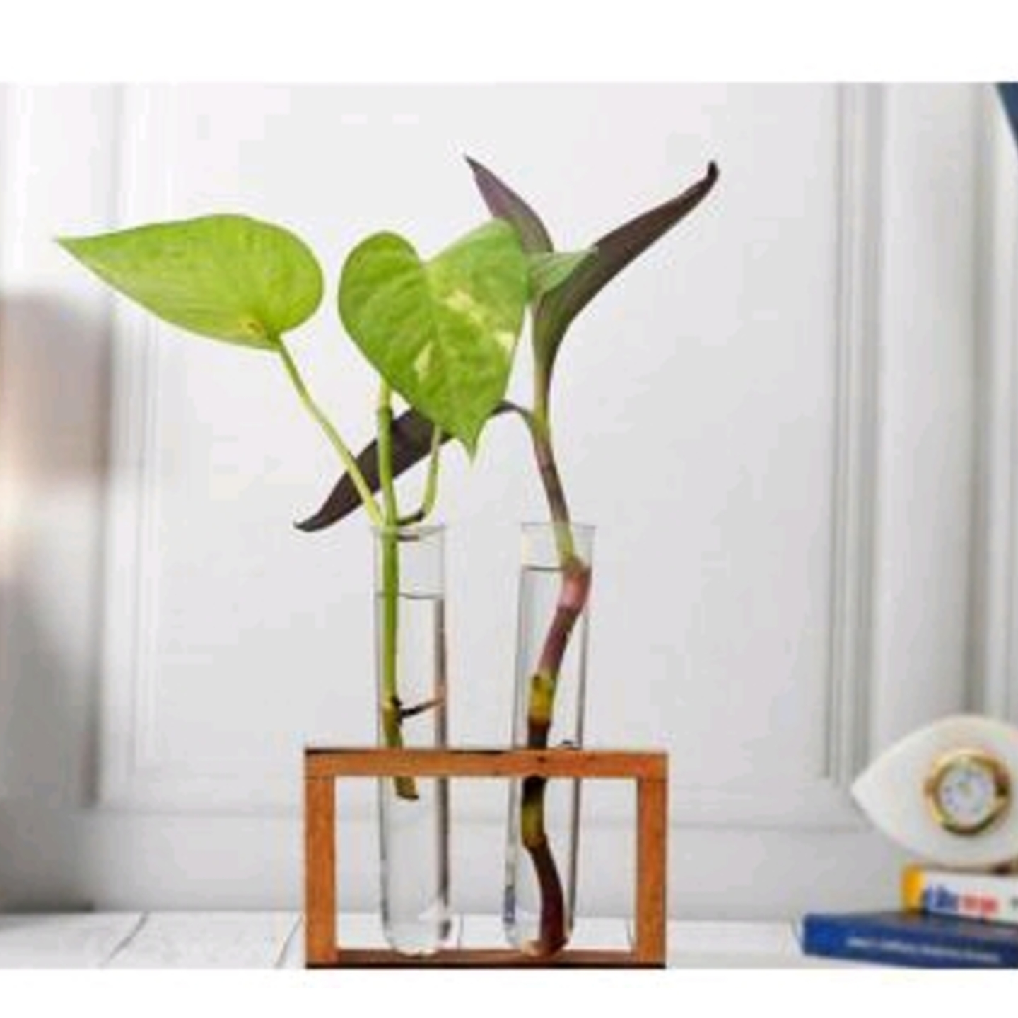 Hydroponic Wood Vase with 2 Glass Tubes