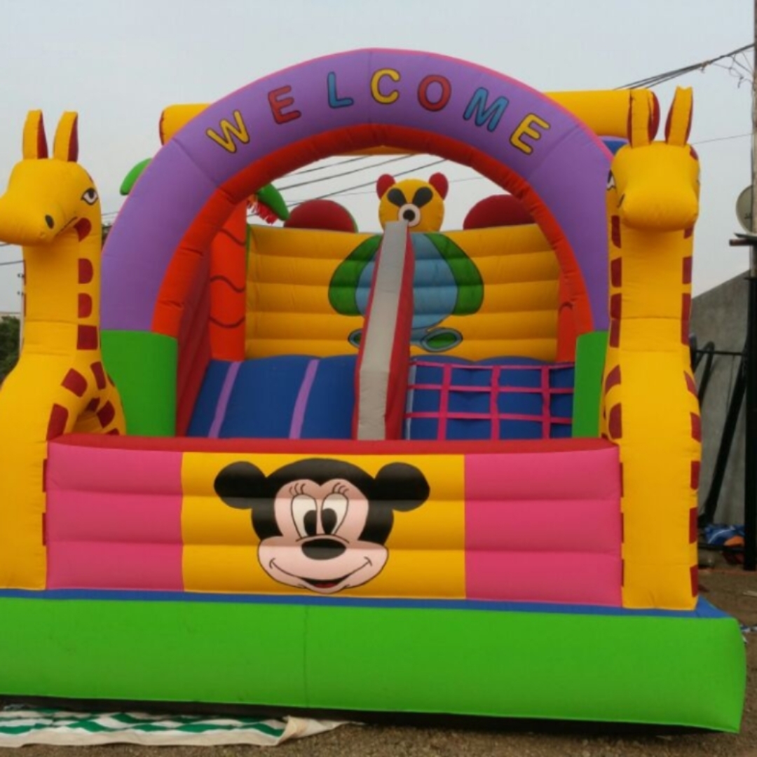 inflatable slide bouncy