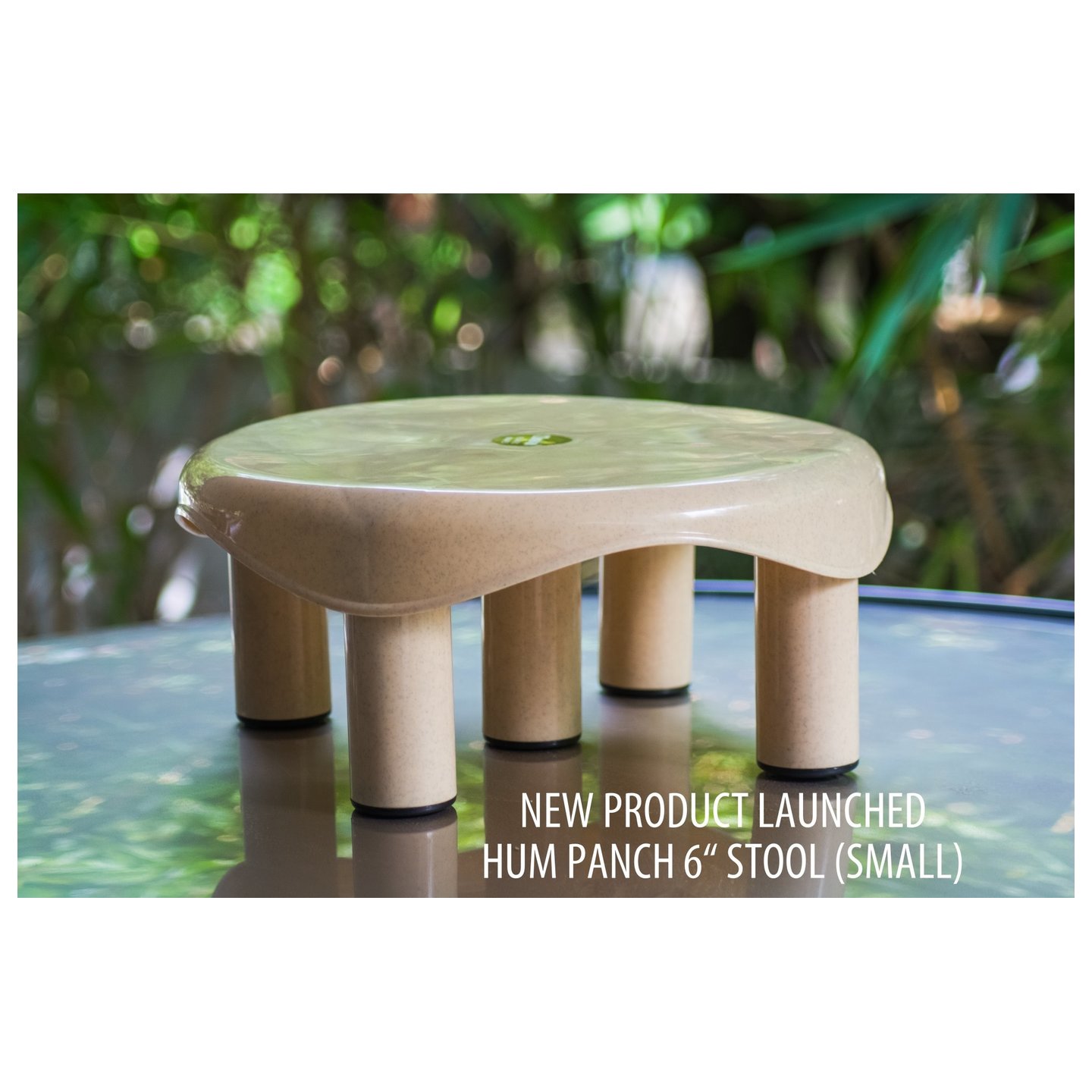Hum Panch Stool Small.jpg
